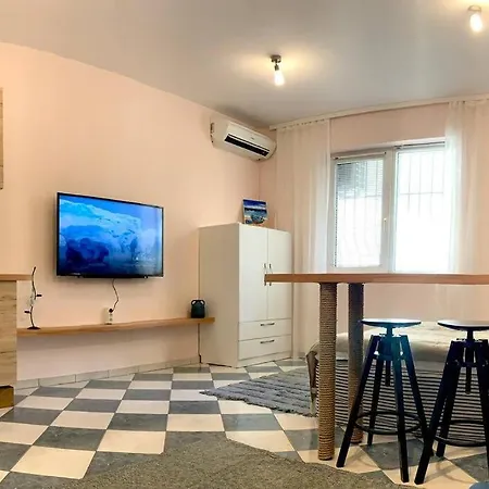 Hippocampus * וארנה